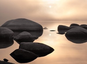 who knew dragonfly had a lake view?