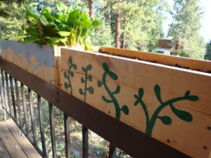 green is the new view