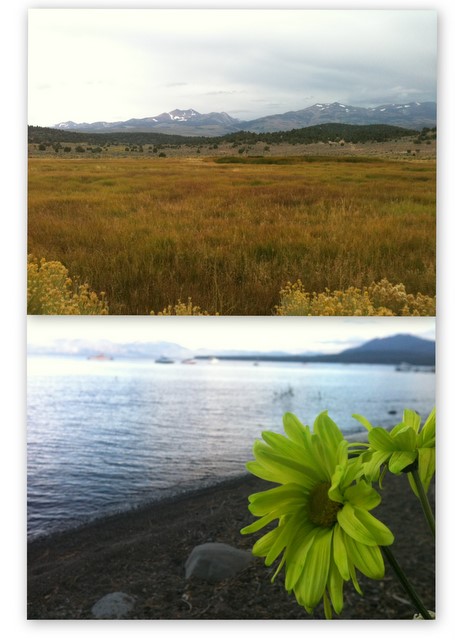 bridgeport and lake tahoe